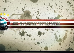 星空体育：IG夺冠后专访，针对对手打野盲僧战术的深度解析