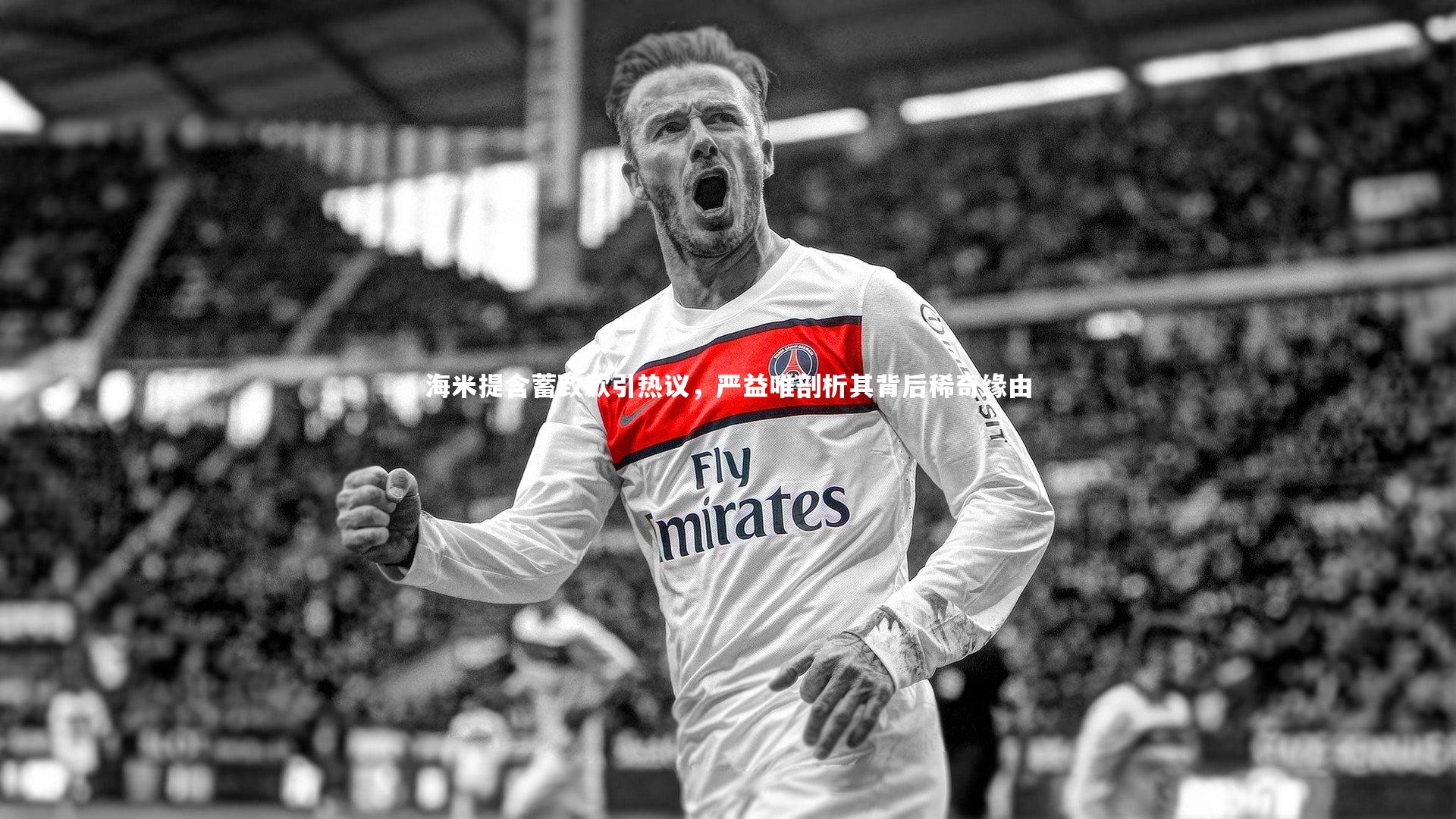 海米提含蓄致歉引热议,严益唯剖析其背后稀奇缘由